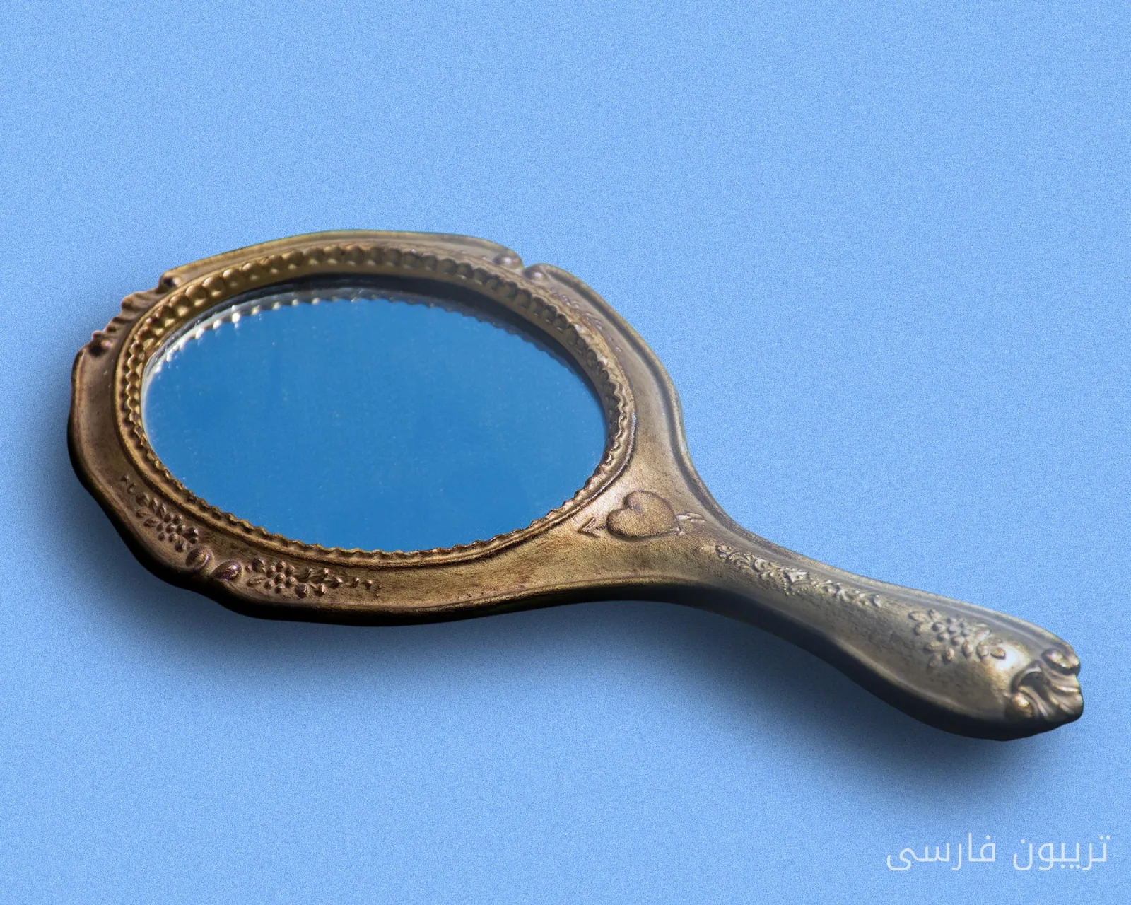 هل الجمال ممنوع؟: آمي آنت تهاجم عالم الكوميديا