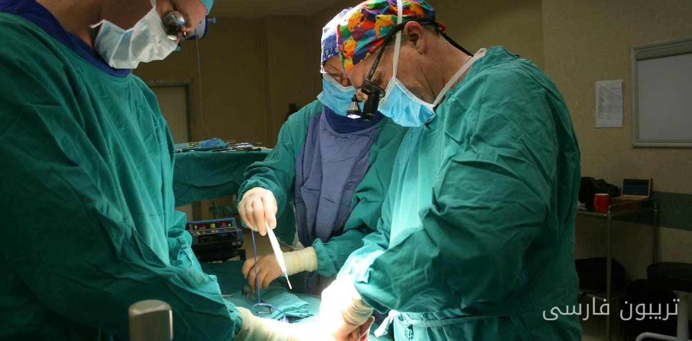 Transformation in Liver Transplantation: Achievements of the Wits Donald Gordon Medical Centre in South Africa