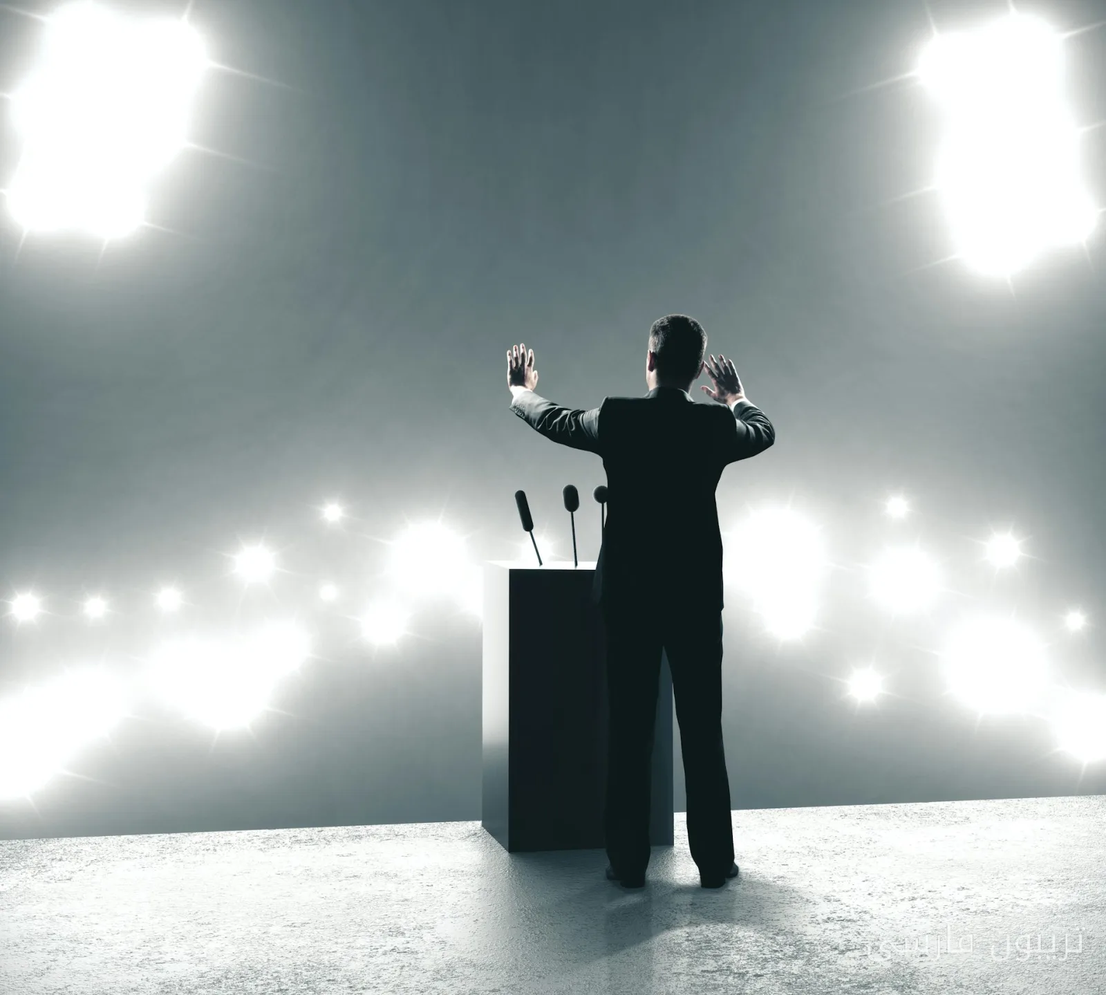 The Appeal of Dark Personalities Among Right-Wing Party Members in Britain