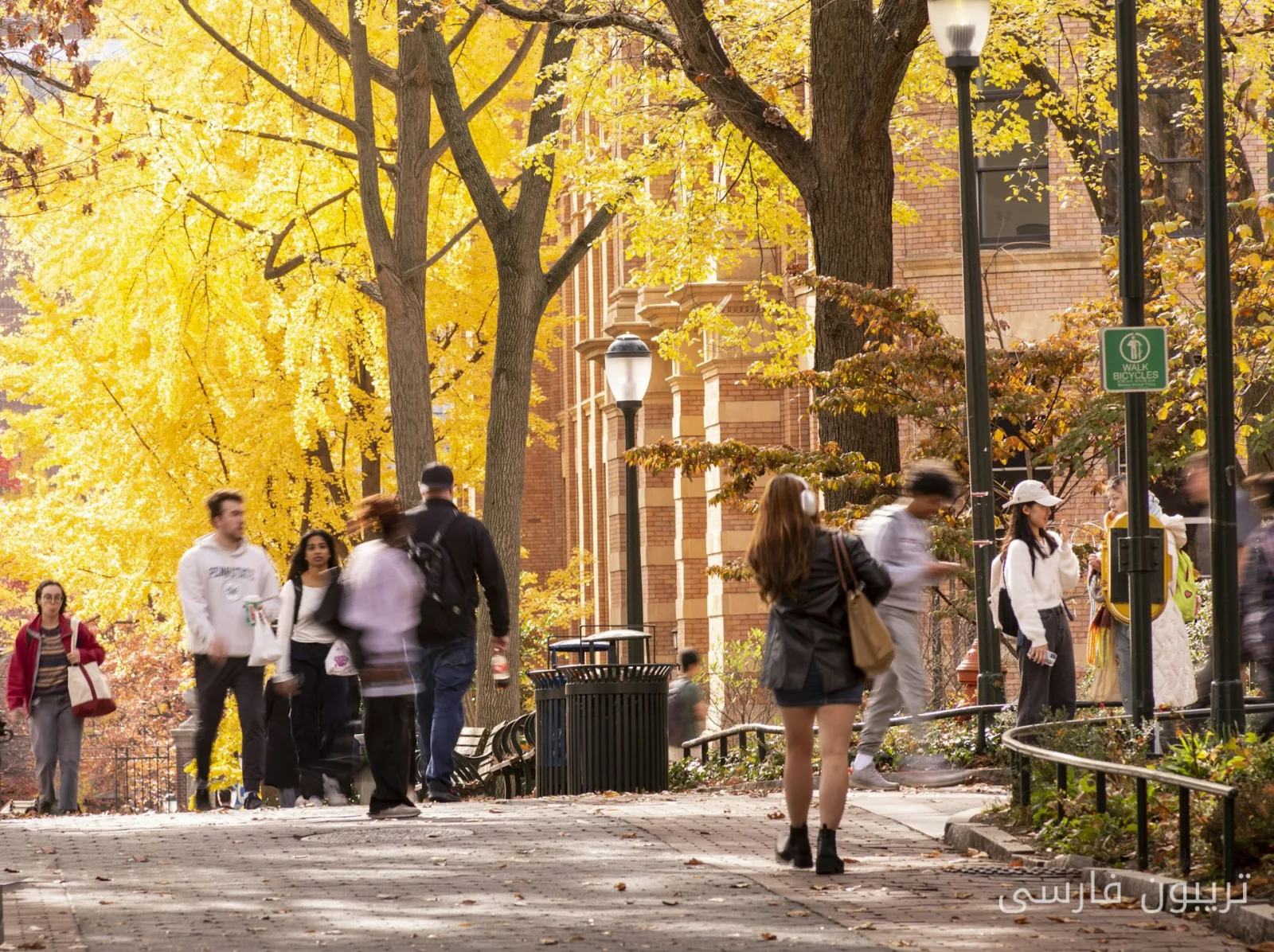 Trump Administration and the Effort to End Diversity in Private Schools