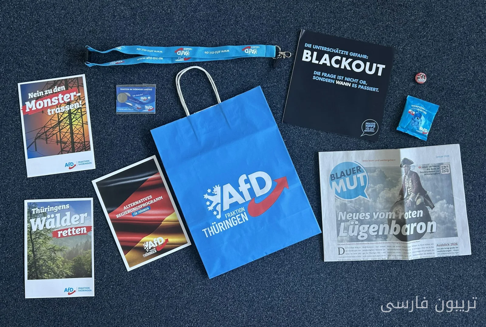 فوز حزب AfD وتهديدات جدية لمزارع الرياح في ألمانيا