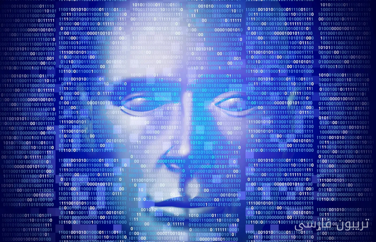 The Discussion on Artificial Consciousness Becomes a New Social Divide