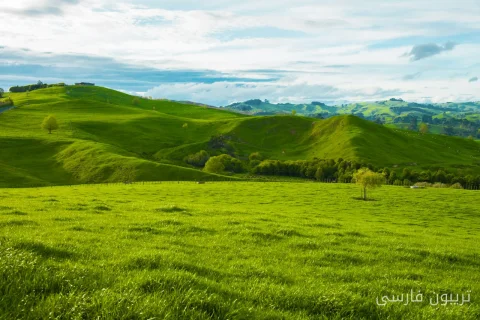 محصولات کشاورزی داخلی به عنوان جایگزین فسفات وارداتی در کشاورزی