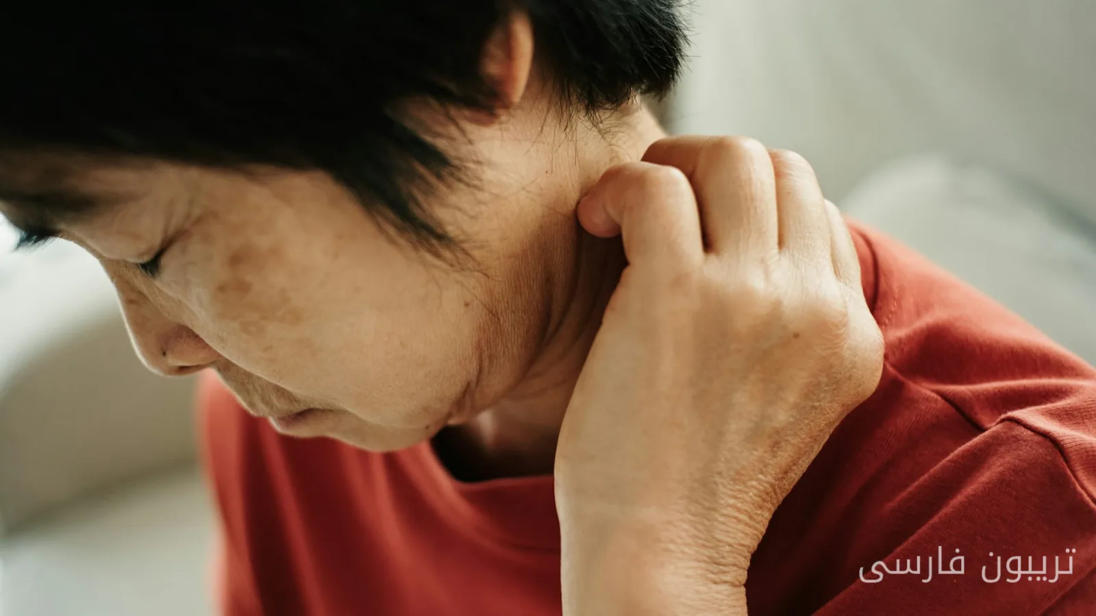Analysis of Immune System Function in Lupus Patients by Research Team