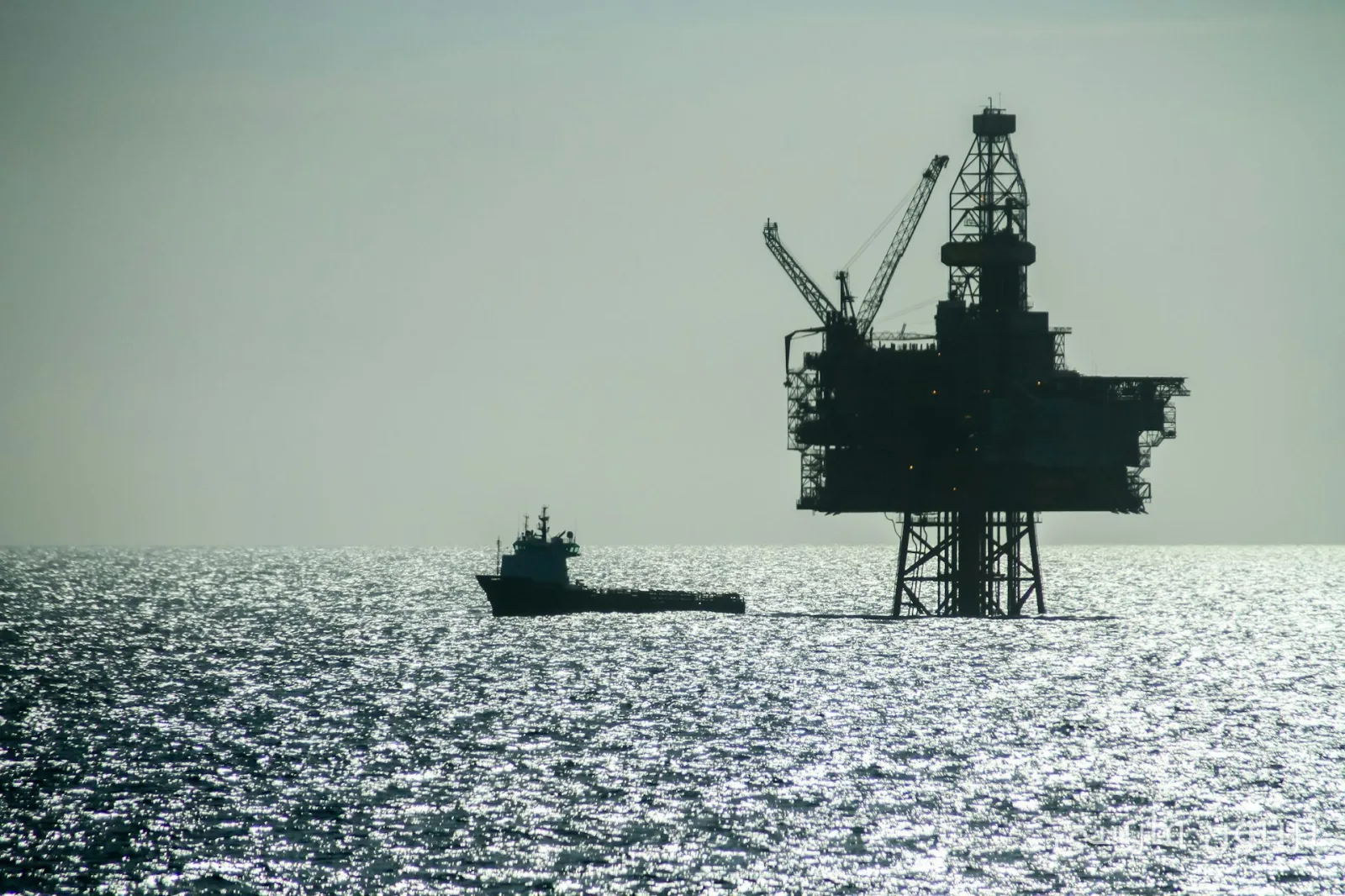 Entscheidung der britischen Regierung zum Gasfeld Jackdaw und Herausforderungen der Energiesicherheit