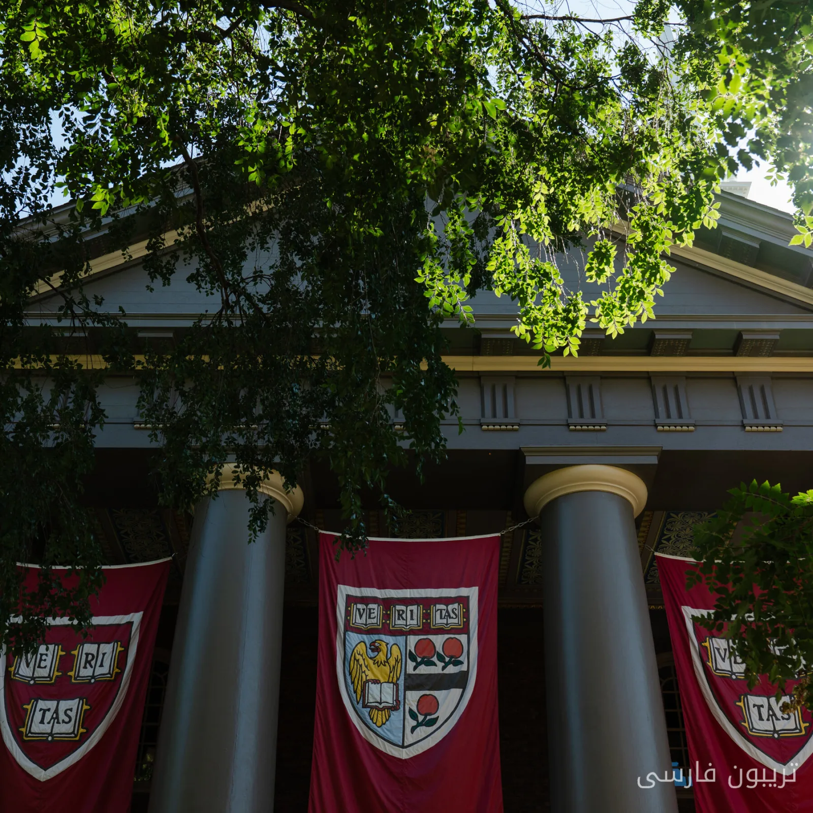 Schools with Racial Programs at Risk of Losing Tax Exemption!