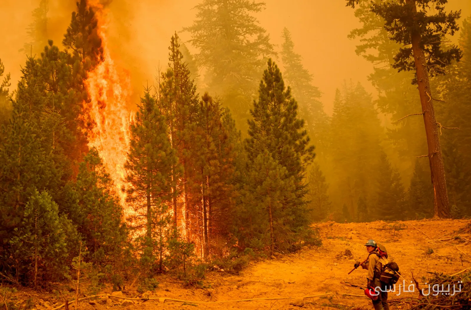 Wildfire Strategy Challenge: Competition Among Three Camps and System Inefficiency