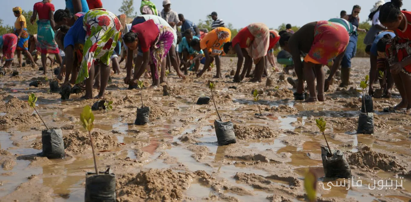 Local Needs in Climate Services in Africa: The Real Voice of Users