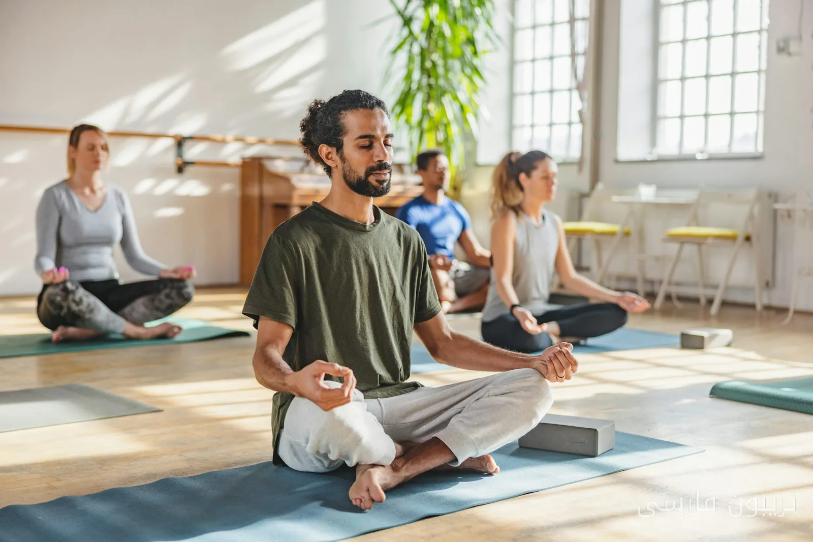 The Challenges of Meditation and Its Risks in Buddhist Texts