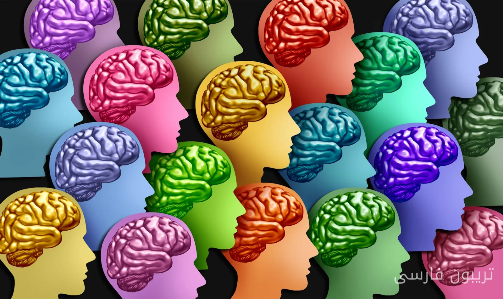 Die Verwendung des Begriffs „neurodivergent“ als umfassender Begriff ist problematisch