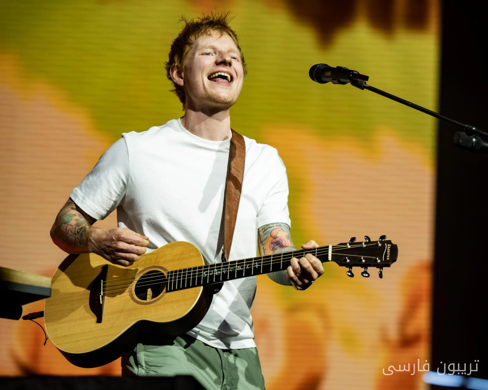 Ed Sheeran und die politischen Herausforderungen in der Musikindustrie